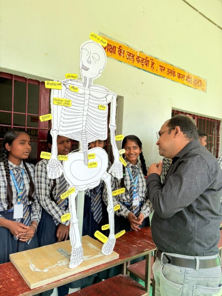 Students explaining a hand-made human skeleton model with labelled bones to a teacher at the Science Day exhibition